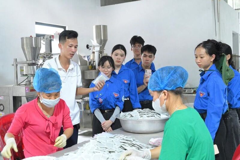 Không dừng lại ở sản xuất thô, anh Hoàng đầu tư xây dựng nhà xưởng rộng, trang bị máy móc chế biến sâu các sản phẩm từ cây mướp đắng. Ảnh: Phương Thảo