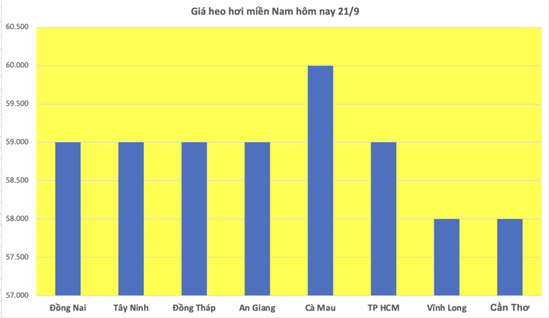 Giá heo hơi hôm nay 21/9/2025: Miền Bắc, miền Trung giảm sâu - 3