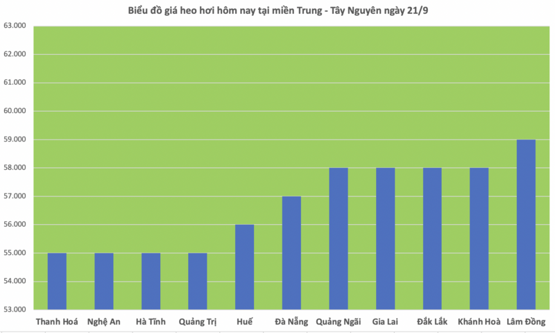 Giá heo hơi hôm nay 21/9/2025: Miền Bắc, miền Trung giảm sâu - 2