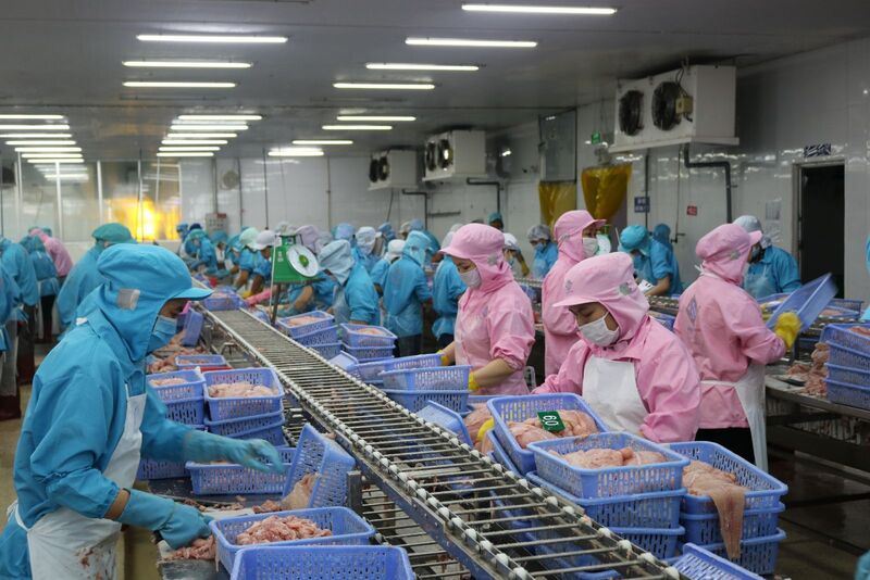 Đẩy nhanh tháo gỡ thẻ vàng IUU, tạo thuận lợi cho xuất khẩu thủy sản sang EU. Ảnh: Tùng Chi
