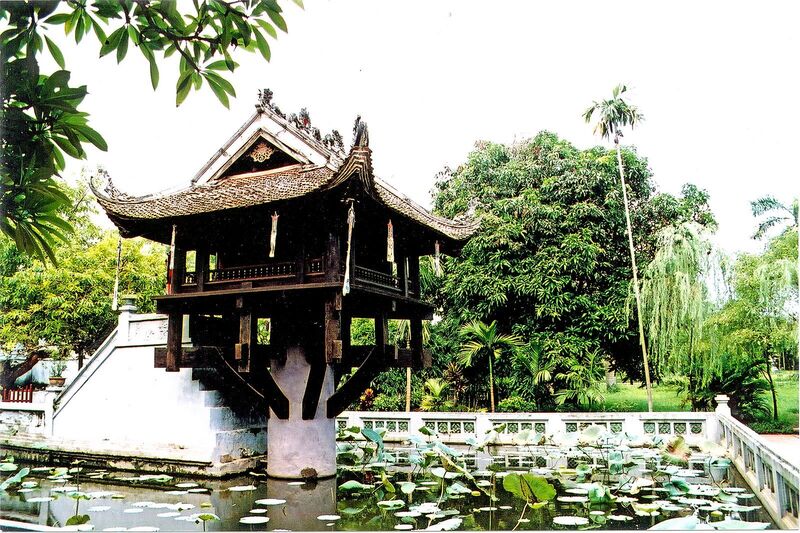 Hoa sen tại chùa Một Cột. Ảnh minh họa