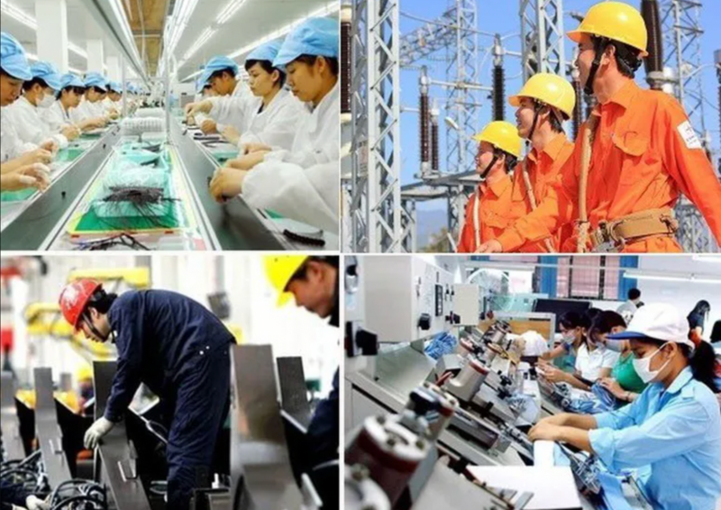 Các tập đoàn, tổng công ty nhà nước không chỉ là lực lượng chủ lực tham gia xuất khẩu, mà còn tạo nền tảng để các doanh nghiệp tư nhân, doanh nghiệp nhỏ