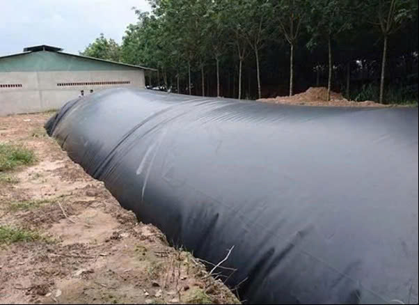 Nhiều nông dân xây hầm biogas để biến chất thải gia súc gia cầm thành khí đốt. Nguồn: CafeF