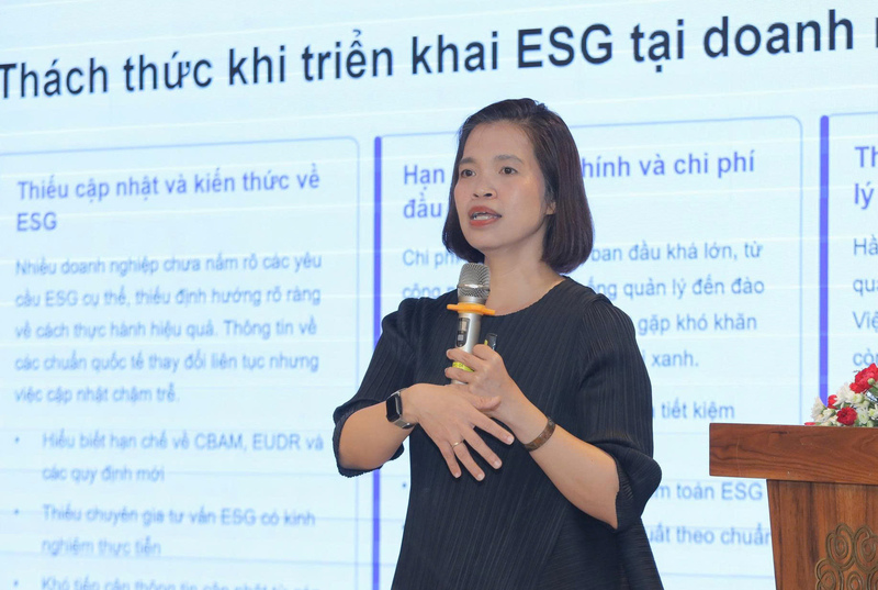 Bà Nguyễn Cẩm Chi, Giám đốc khối tư vấn phát triển bền vững tại MCG. Ảnh: Minh Khuê.