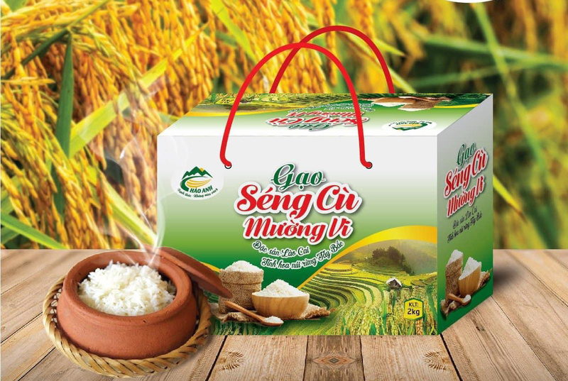Gạo Séng Cù Mường Vi là sản phẩm tiêu biểu của Bát Xát (Ảnh: HTX Mường Vi)