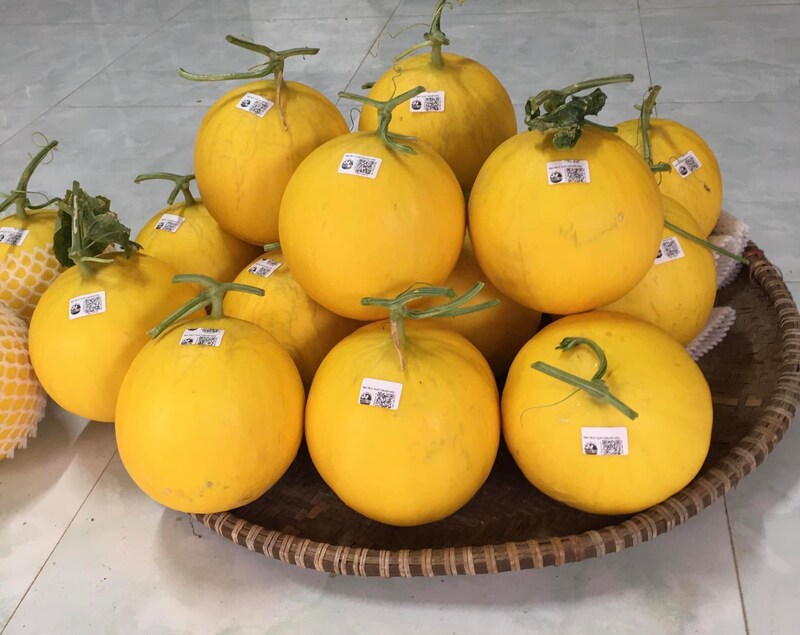 Nông sản của HTX Mường Tấc