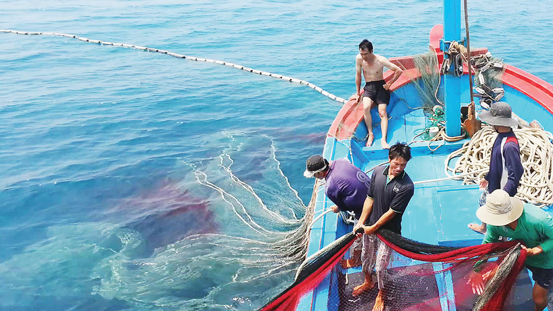 Dù nhiều nỗ lực, nhưng vẫn khó gỡ "thẻ vàng" IUU. Ảnh: Minh họa.