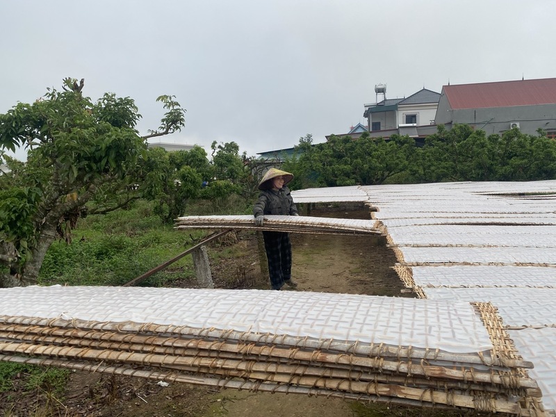 Sản xuất mỳ Chũ tại làng nghề Thủ Dương, xã Nam Dương, tỉnh Bắc Ninh. Ảnh: Hải Linh