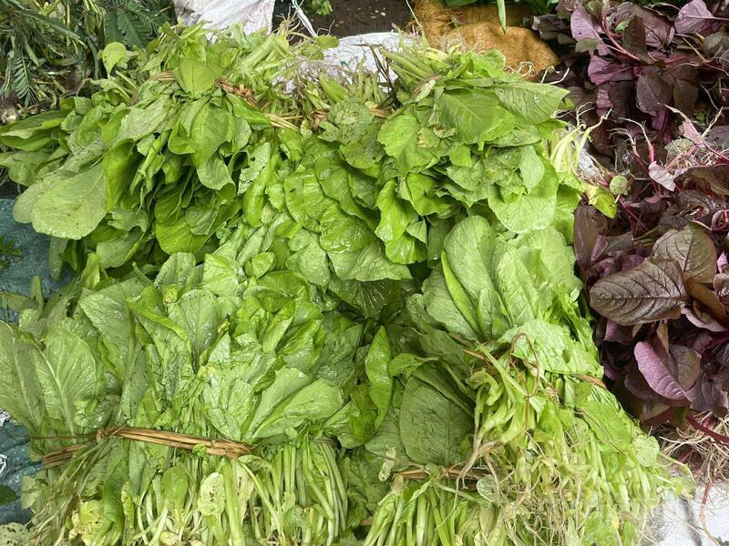 Rau cải có giá 7.000-10.000 đồng/mớ tùy loại.