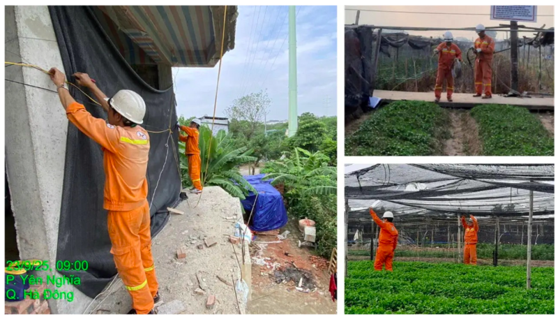 Các đơn vị truyền tải tập trung nguồn nhân lực ứng phó bão số 9.