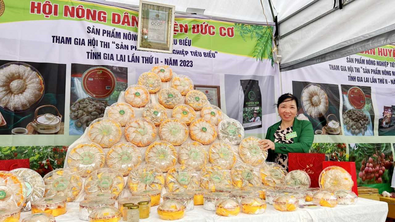 Giai đoạn 2021-2025, thương mại vùng đồng bào dân tộc Gia Lai có nhiều khởi sắc