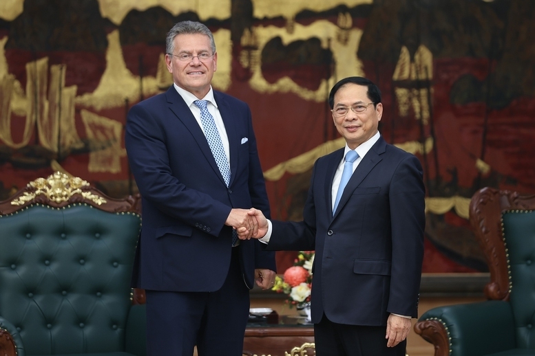 Phó Thủ tướng Chính phủ Bùi Thanh Sơn tiếp Cao ủy Thương mại và An ninh kinh tế của Liên minh châu Âu (EU) Maros Sefcovic - Ảnh: VGP/Nhật Bắc