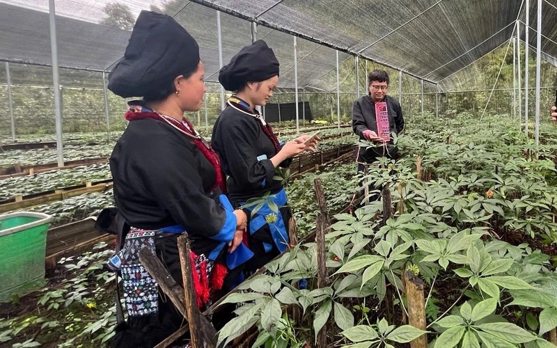 Lai Châu xác định phát triển nông nghiệp bền vững. Ảnh: Phương Thanh