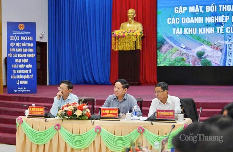 Lãnh đạo tỉnh Gia Lai chủ trì hội nghị. Ảnh: Hiền Mai.