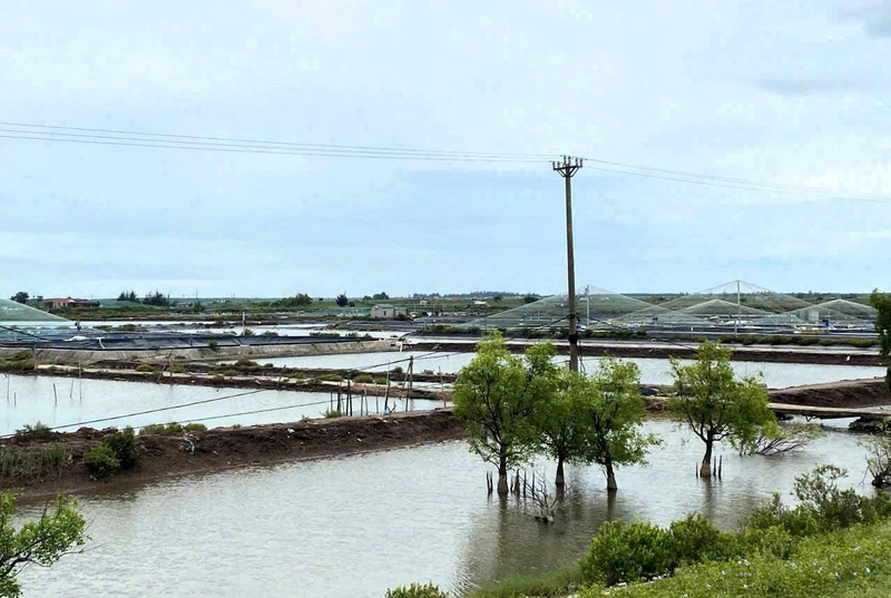 Nhiều xã ven biển thuộc tỉnh Ninh Bình đã chủ động triển khai các phương án ứng phó với bão số 10. Ảnh: CTV