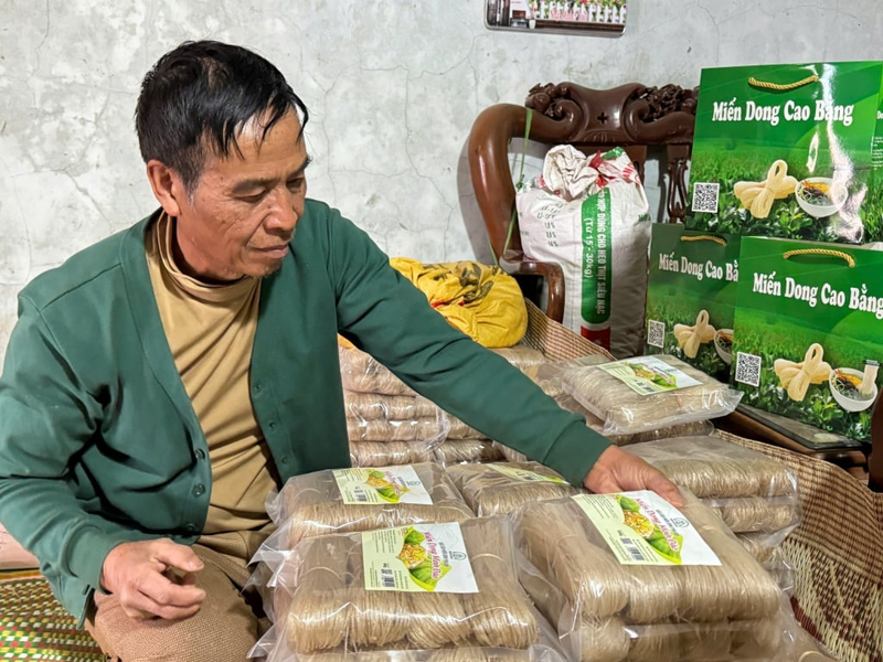 HTX Miến dong Án Lại triển khai hiệu quả chuỗi liên kết (Ảnh: Minh Hương)
