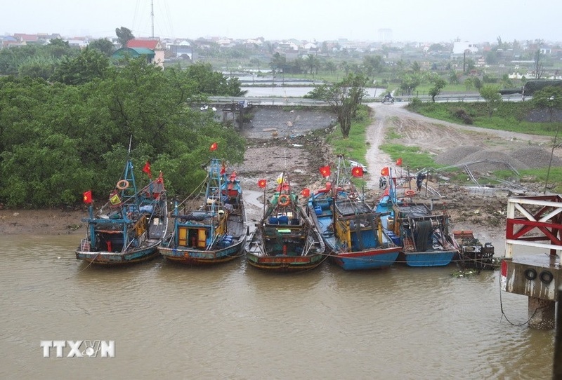 Sáng 28/9, bão số 10 (Bualoi) ở vùng ven biển Quảng Trị - thành phố Đà Nẵng, cách thành phố Huế khoảng 170km về phía Đông, sức gió mạnh nhất vùng gần tâm bão cấp 12 (118 - 133 km/giờ), giật cấp 15. Ảnh: TTXVN