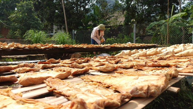 Măng Lâm Thương mang lại nhiều giá trị kinh tế cho người dân. Ảnh minh họa