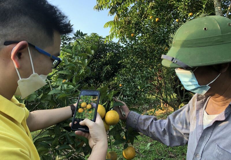 Rộng đường nông sản Việt trên sàn thương mại điện tử.