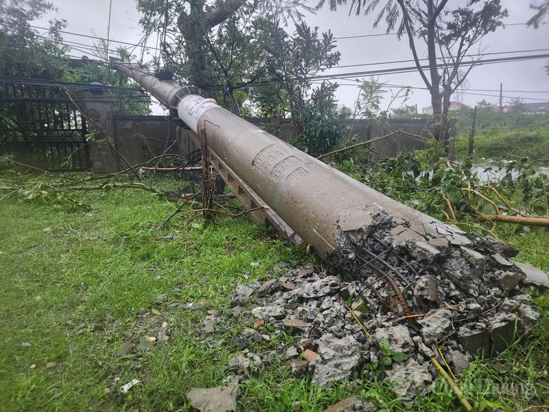 Cột điện bị gãy đổ do bão số 10.