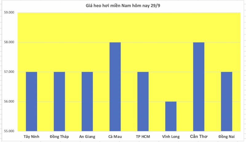 Giá heo hơi hôm nay 29/9/2025: Miền Bắc tăng nhẹ, miền Nam đi ngang - 3