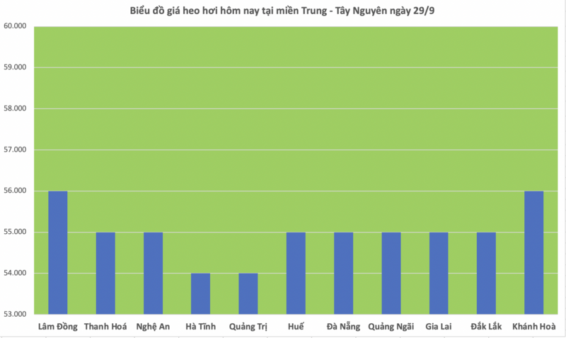 Giá heo hơi hôm nay 29/9/2025: Miền Bắc tăng nhẹ, miền Nam đi ngang - 2