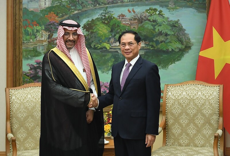 Phó Thủ tướng Bùi Thanh Sơn tiếp Bộ trưởng Công nghiệp và Khoáng sản Saudi Arabia Bandar Ibrahim Alkhorayef. Ảnh: VGP/Hải Minh