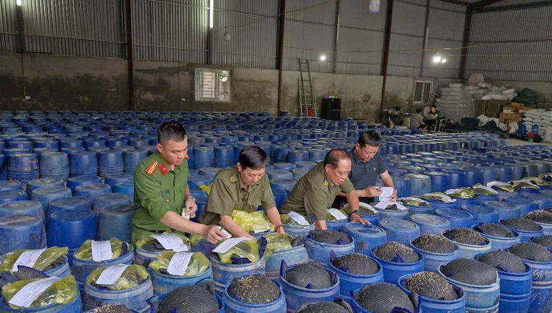Các thùng giá đỗ ngâm hóa chất bị Công an tỉnh Nghệ An phát hiện, thu giữ. Ảnh: Hải Yến