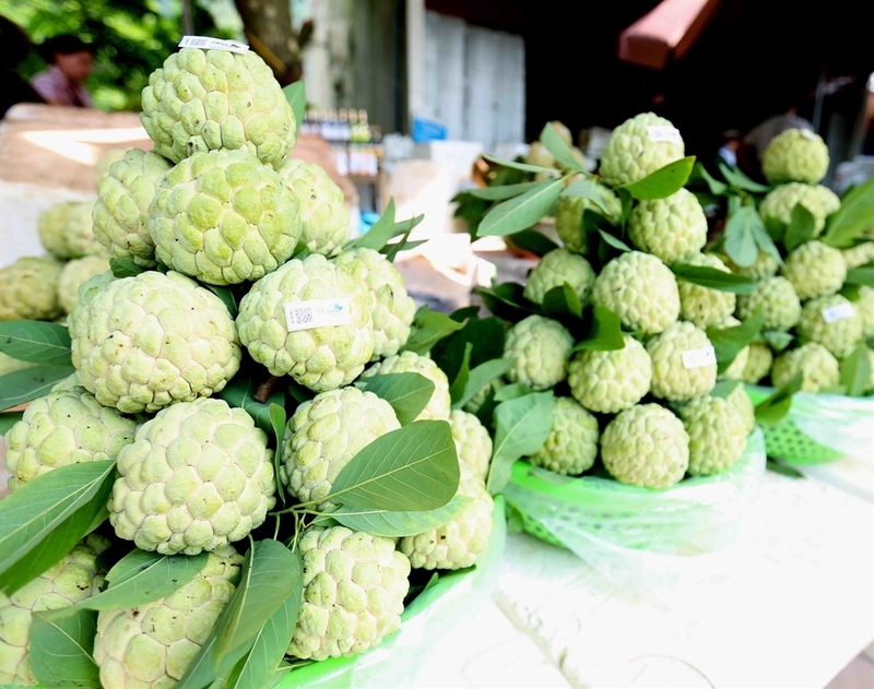 Na Chi Lăng, đặc sản xứ Lạng