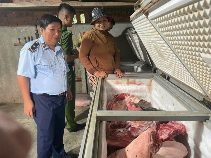 Hàng trăm kg thịt heo không rõ nguồn gốc, nhiễm bệnh bị phát hiện, buộc tiêu hủy. Ảnh: QLTT Quảng Ngãi