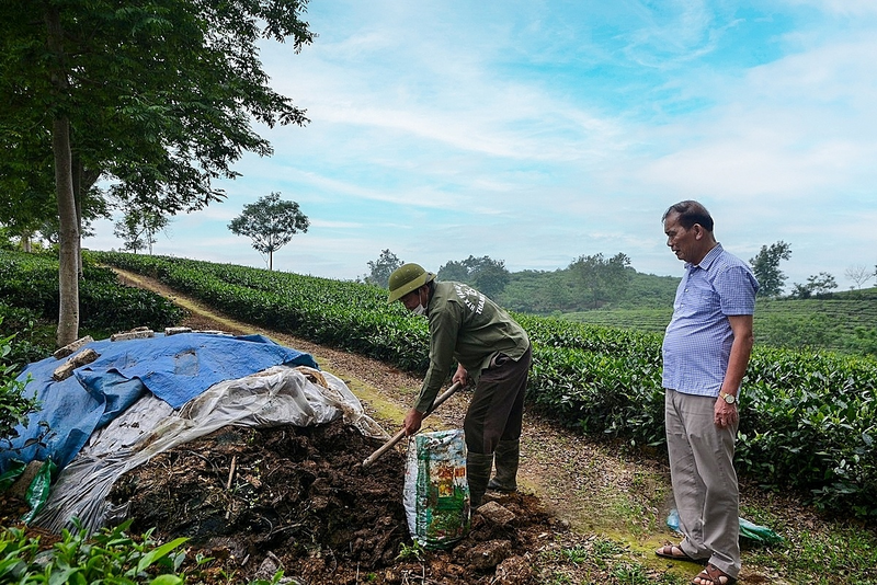 Ủ phân hữu cơ đem lại hiệu quả kinh tế tốt. Ảnh: Thành An