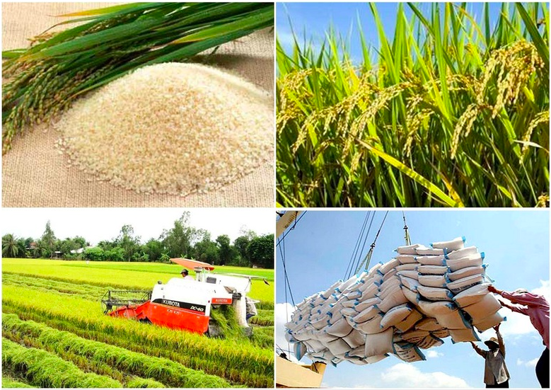 Toàn Cầu sẽ áp dụng khoa học công nghệ để phát triển kinh tế nông nghiệp bền vững