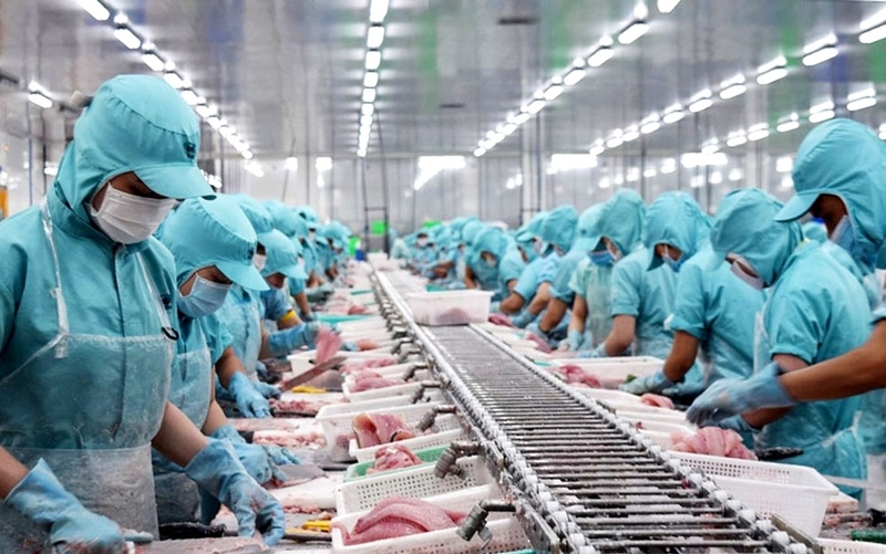 Xuất khẩu nhiều mặt hàng thủy sản của Việt Nam tăng trưởng cả về lượng và trị giá so với cùng kỳ năm 2024. Ảnh minh hoạ