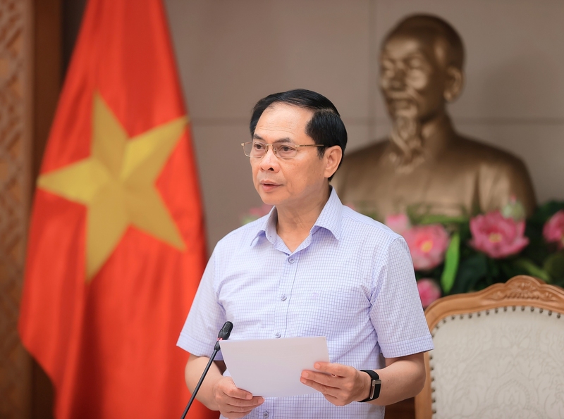 Phó Thủ tướng Chính phủ Bùi Thanh Sơn phát biểu kết luận Phiên họp. Ảnh: VGP/Hải Minh