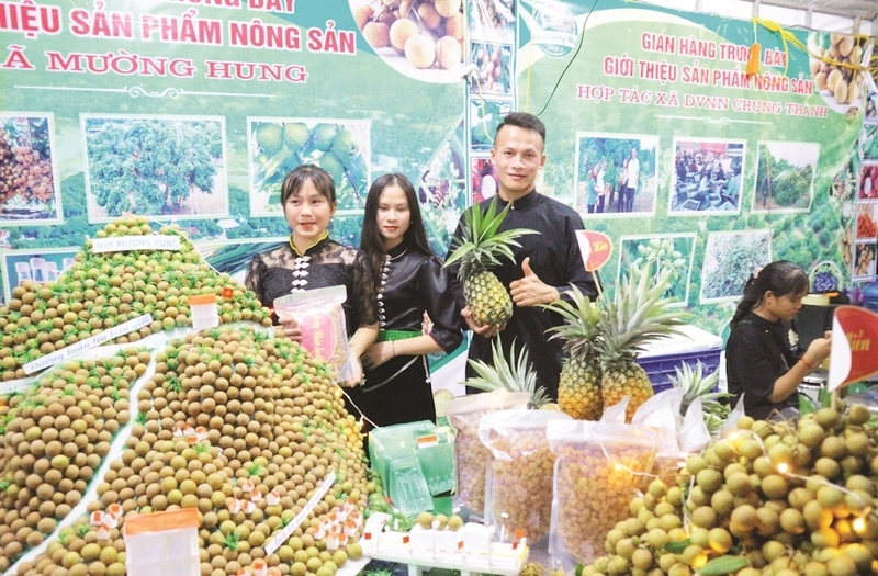 HTX là hạt nhân tiêu thụ sản phẩm trên địa bàn tỉnh Sơn La