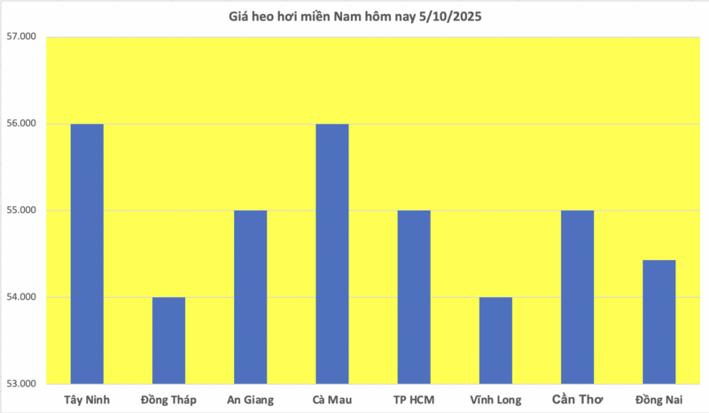 Giá heo hơi hôm nay 5/10/2025: Miền Bắc hạ nhiệt - 3