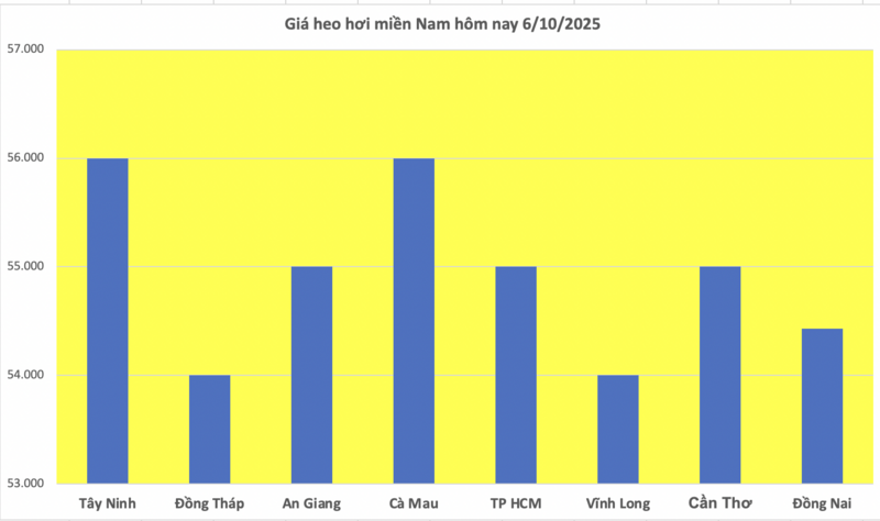 Giá heo hơi hôm nay 6/10/2025: Thị trường giữ đà giảm - 3