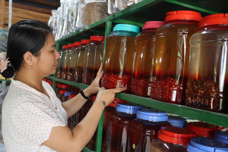 Xã Tu Mơ Rông (tỉnh Quảng Ngãi) sẽ nghiên cứu để xây dựng thương hiệu "Ngũ vị tử Tu Mơ Rông" để nâng cao giá trị cho dược liệu quý này