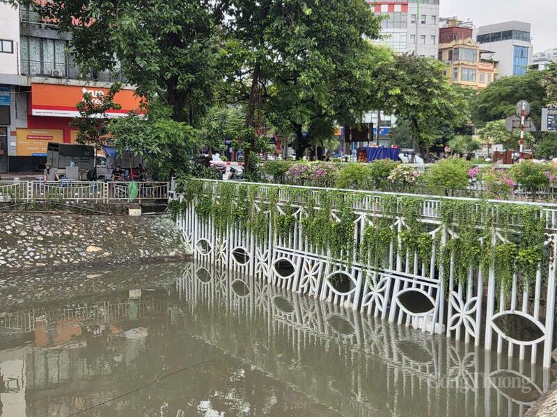 Khung cảnh nên thơ tại sông Tô Lịch khu vực phố Quan Hoa.