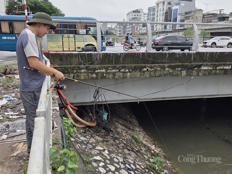 Trải nghiệm câu cá sau trận mưa lớn.
