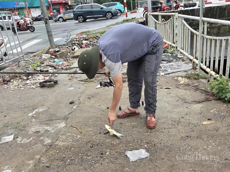Người dân Hà Nội tranh thủ “thư giãn” bằng thú vui câu cá.