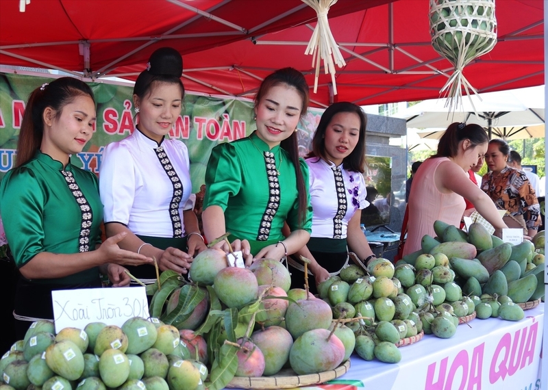 Tỉnh Sơn La đặc biệt chú trọng việc giới thiệu, quảng bá các loại quả đặc sản của địa phương