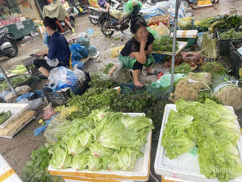 Tại chợ Nhổn mặt hàng rau xanh đa dạng, rau sống được bán với giá 30.000 đồng/kg.