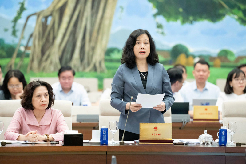 Bộ trưởng Bộ Y tế Đào Hồng Lan