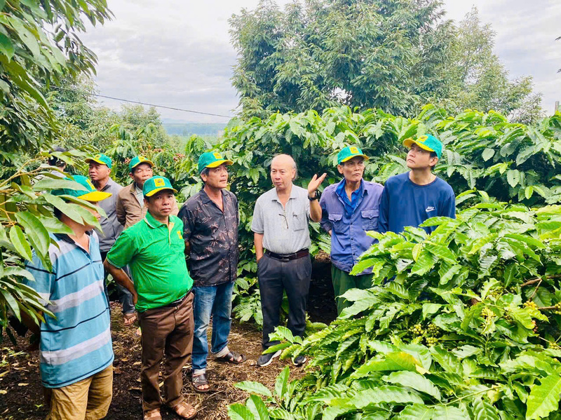Theo TS. Trương Hồng - Nguyên Quyền Viện trưởng Viện Khoa học Kỹ thuật Nông Lâm nghiệp Tây Nguyên (thứ 3 từ phải sang): "Canh tác cà phê thông minh" ở Tây Nguyên, với trụ cột là công nghệ và phân bón, được xem là giải pháp chiến lược để ngành cà phê Việt Nam thích ứng với biến đổi khí hậu, giảm chi phí sản xuất, nâng cao chất lượng sản phẩm, đồng thời gia tăng năng lực cạnh tranh và hội nhập ngày càng sâu rộng trên thị trường quốc tế.