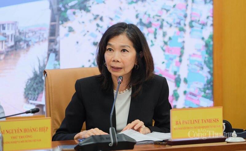 Bà Pauline Tamesis, Điều phối viên thường trú Liên hợp quốc tại Việt Nam, Đồng Chủ tịch Đối tác Giảm nhẹ rủi ro thiên tai phát biểu tại cuộc họp.