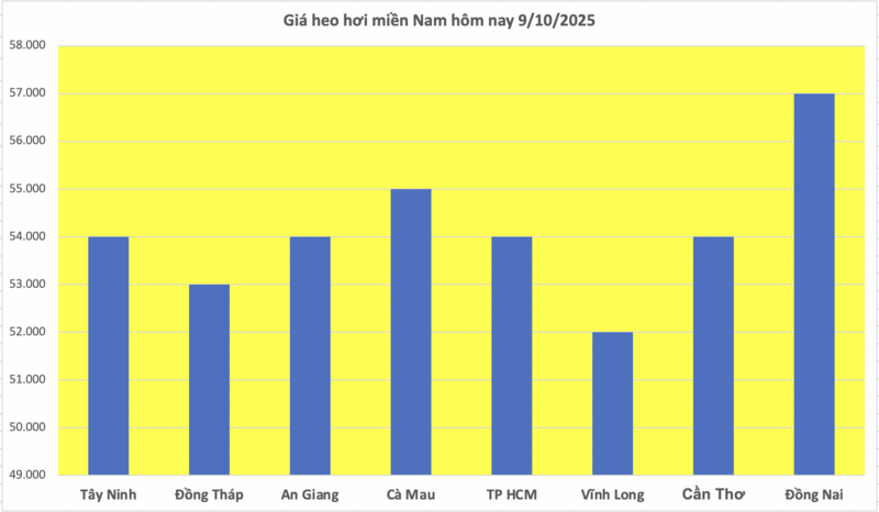 Giá heo hơi hôm nay 9/10/2025: Giảm nhẹ ở miền Bắc và miền Nam - 3