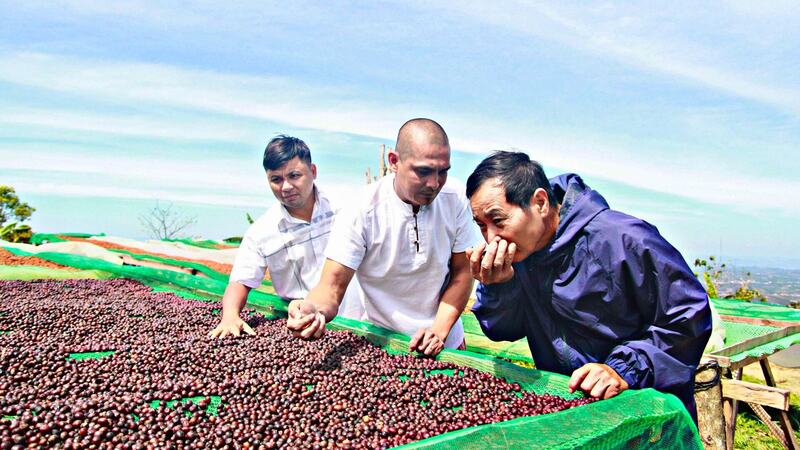 Trong 7 tháng năm 2025, Mexico tăng nhập khẩu cà phê của Việt Nam. Ảnh: Huỳnh Anh