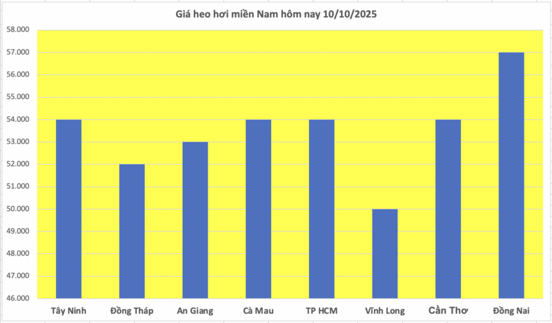 Giá heo hơi hôm nay 10/10/2025: Giảm mạnh tại miền Nam - 3