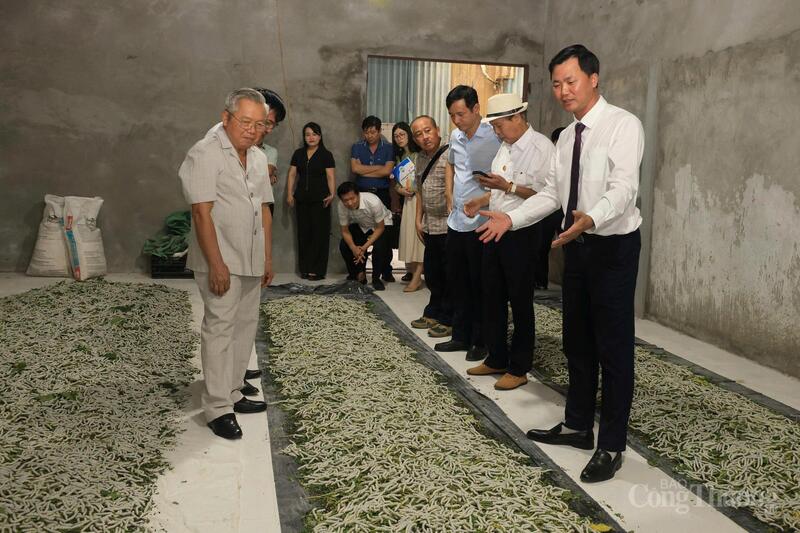 Các đại biểu tham quan mô hình sản xuất Đông trùng hạ thảo tại HTX Nấm Tam Đảo.